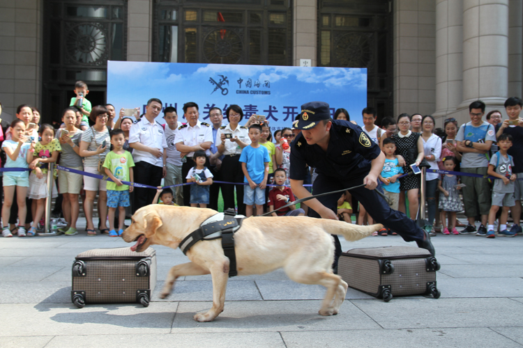 广州海关缉私犬队的四名训犬员分别带着他们的战友卢瑟,赫尔曼,金豪