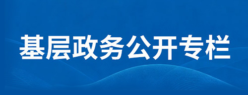 基层政务公开