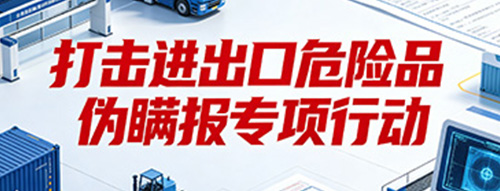 打击进出口危险品伪瞒报专项行动